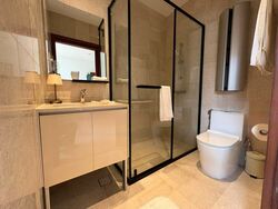 Bukit Timah Road (D9), Terrace #475874291